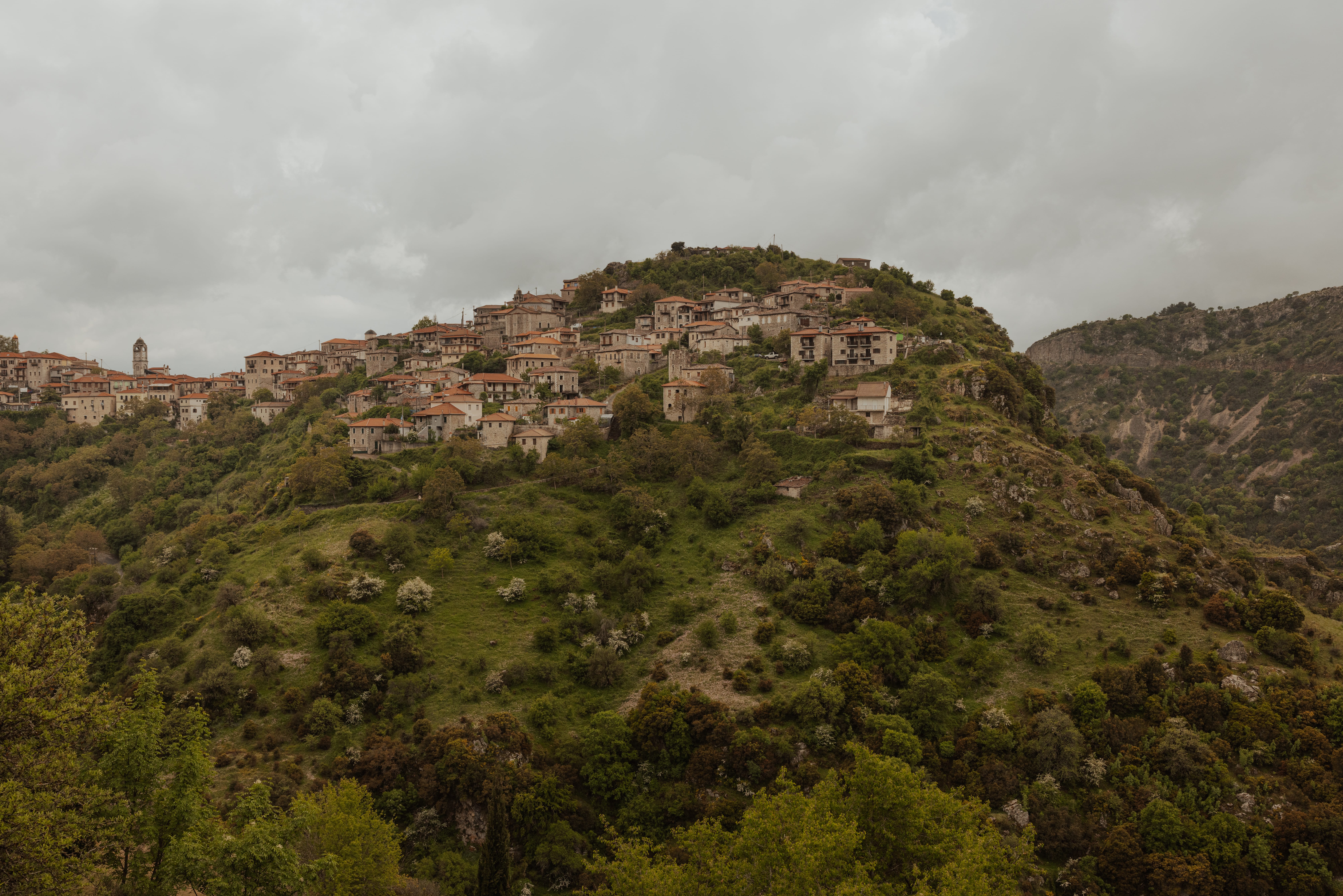 a hillside with trees and buildings
