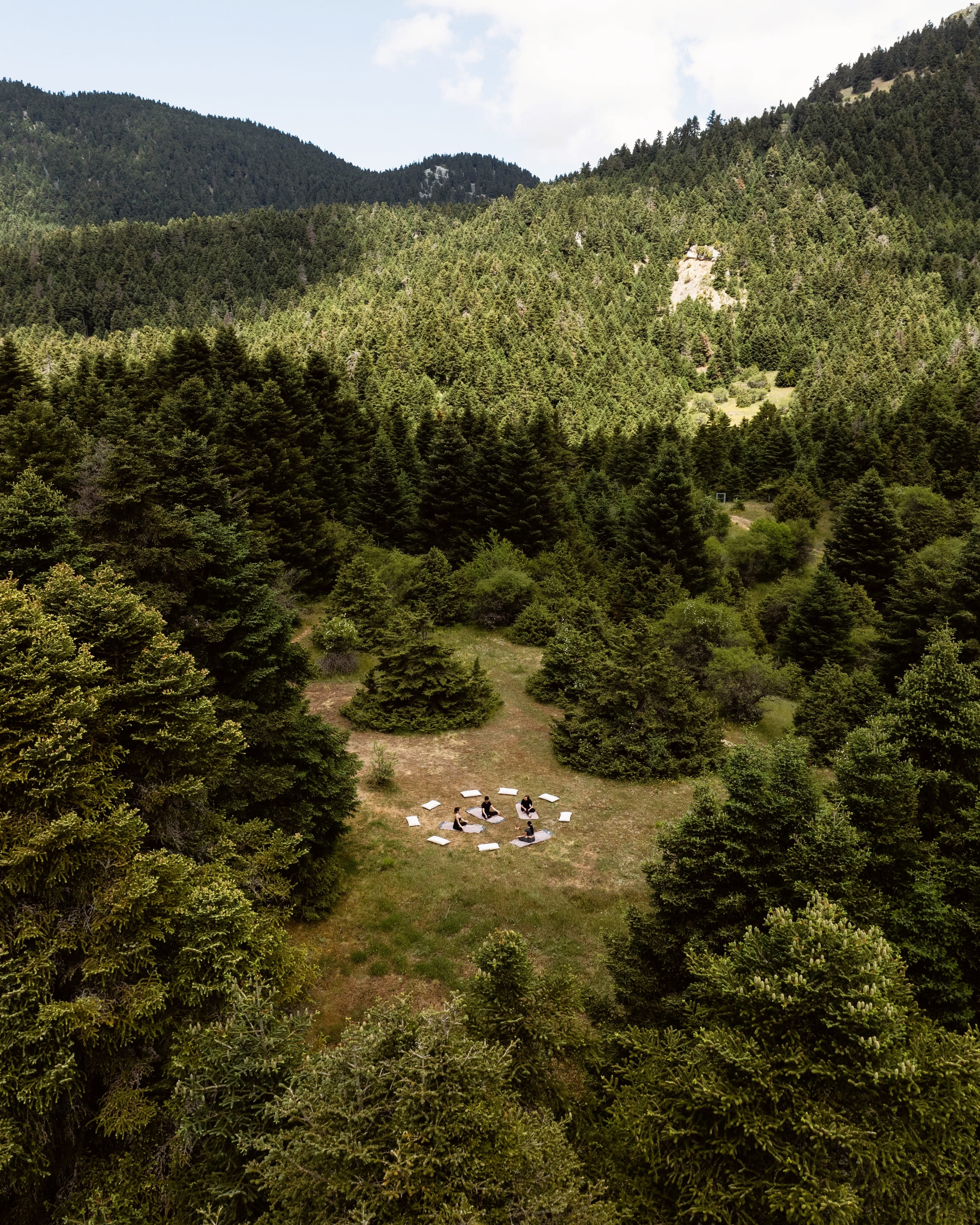 a group of people walking through a forest