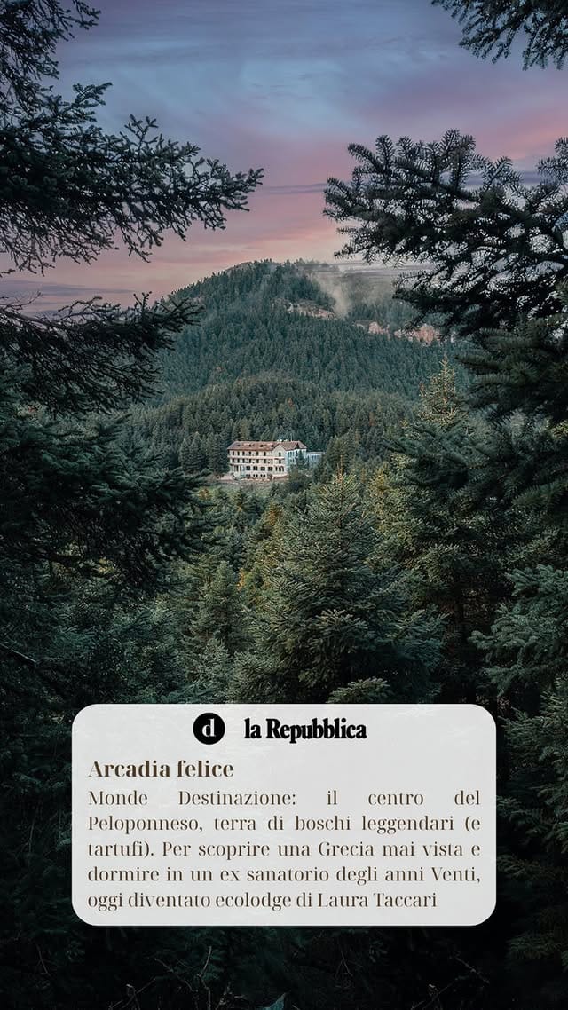 a house in the middle of a forest