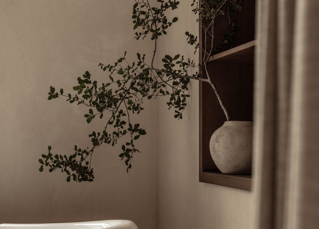 a plant in a room
