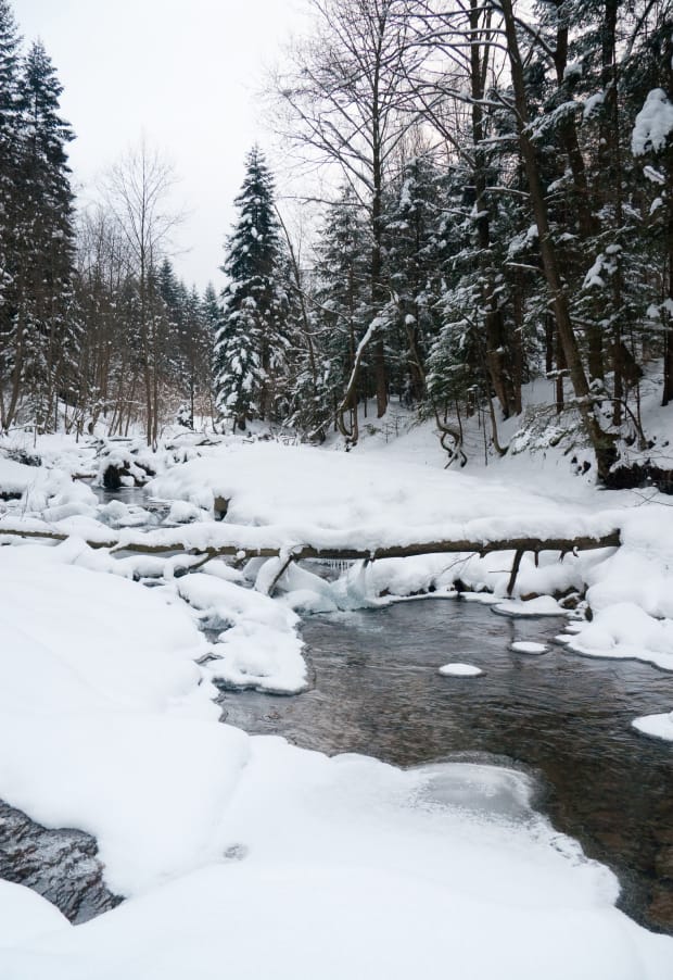 a stream with snow on the sides