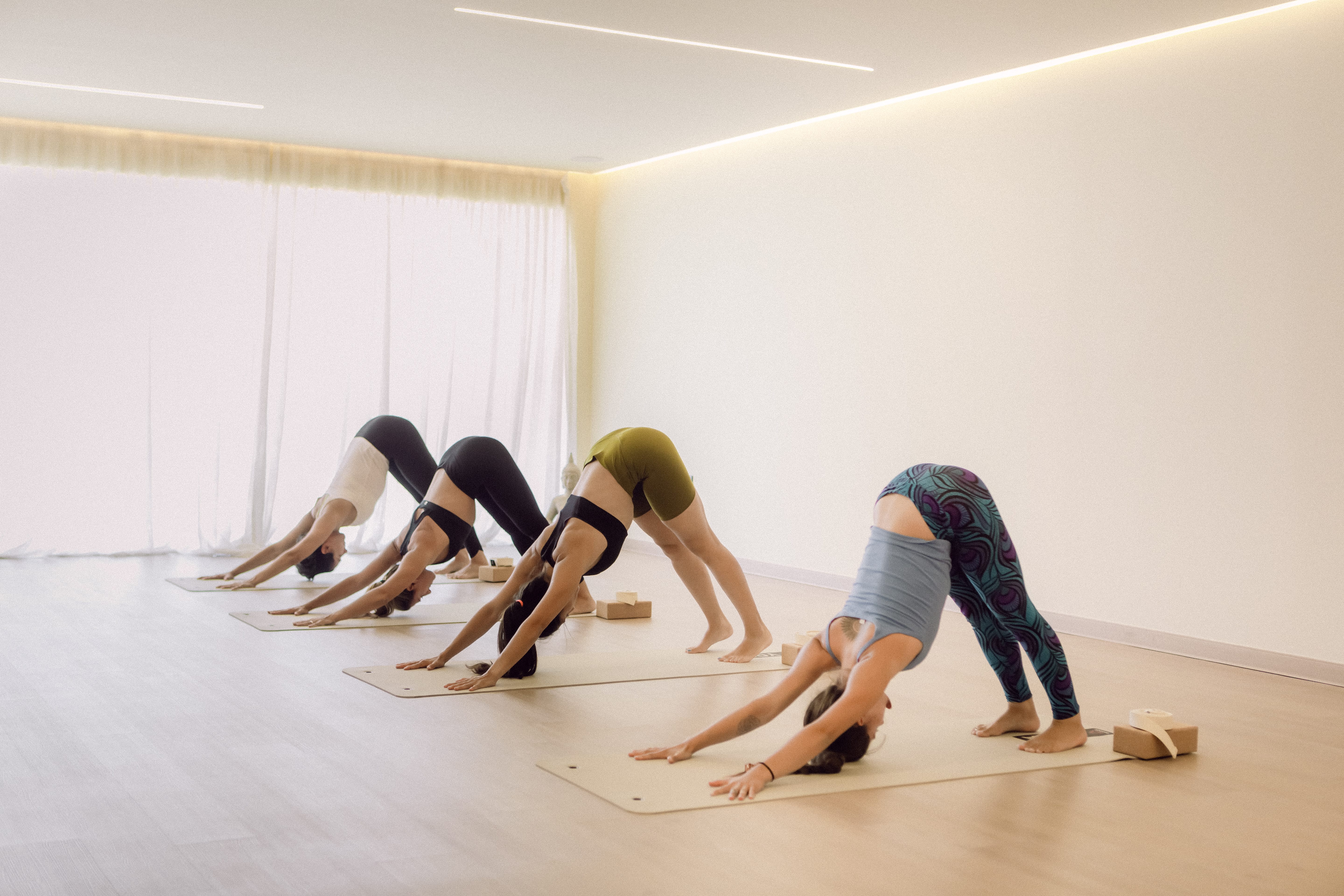 a group of people doing yoga