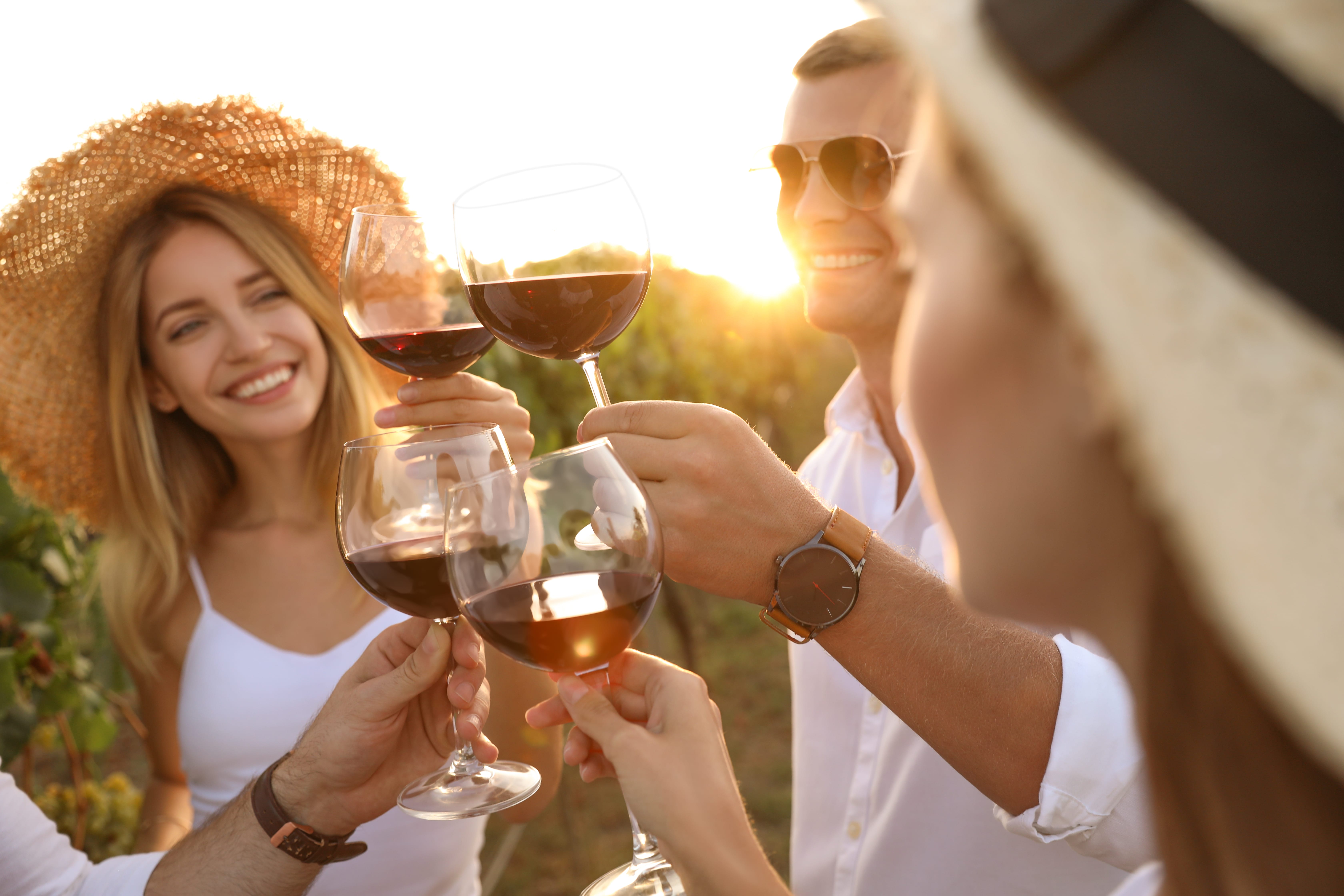 a couple of women holding wine glasses