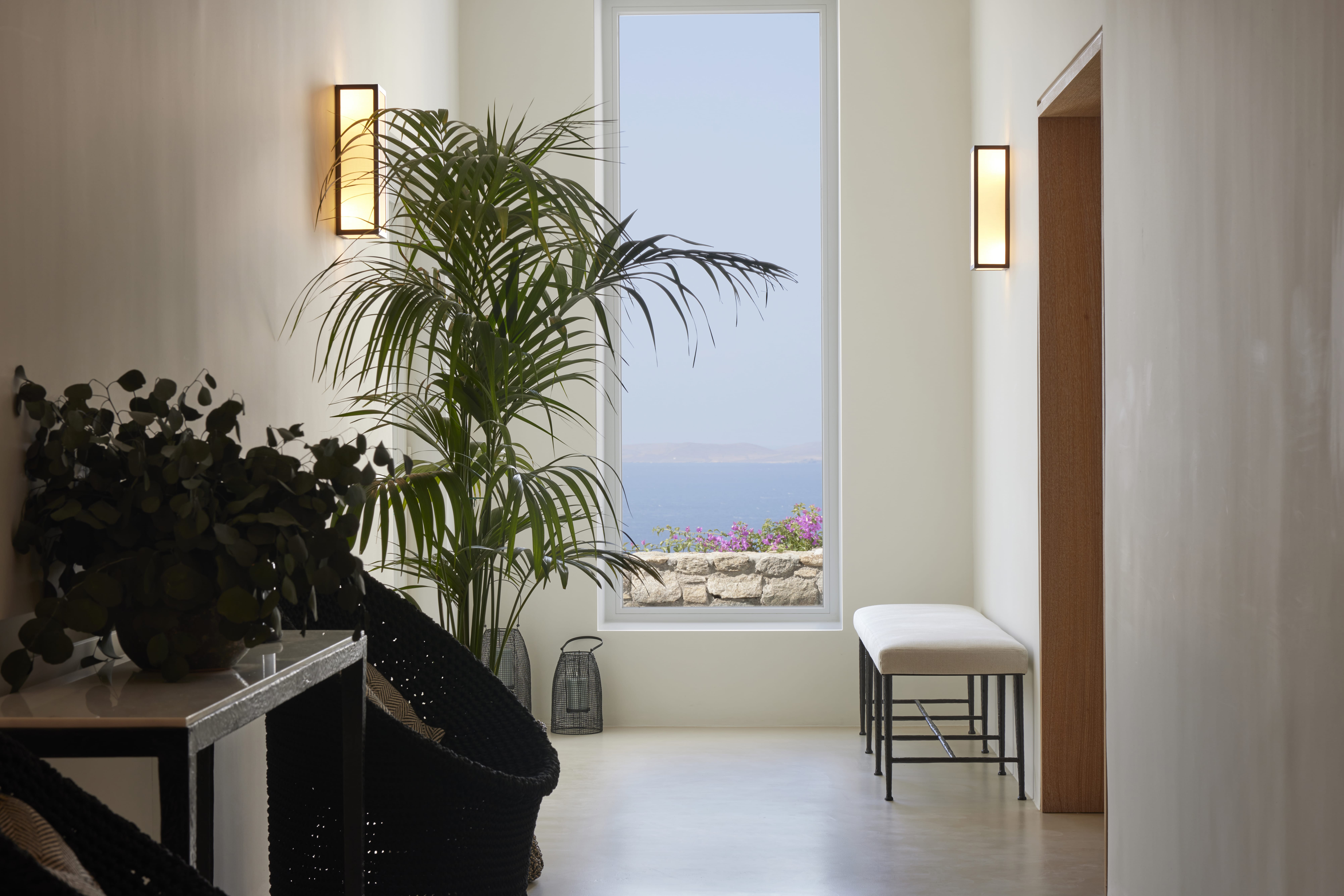 a room with a window and a plant