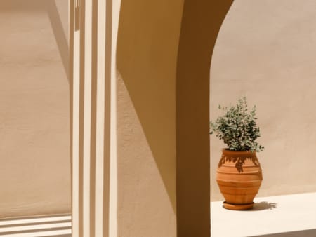 a potted plant on a window sill