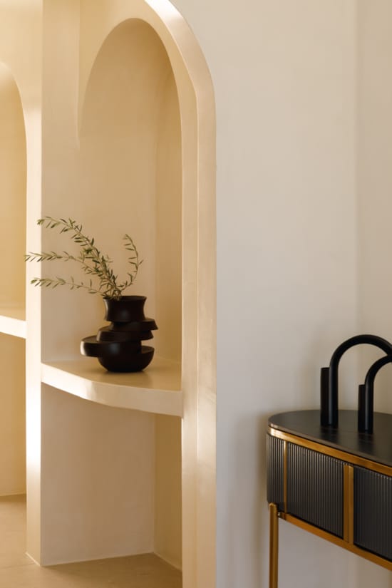 a plant in a pot on a shelf