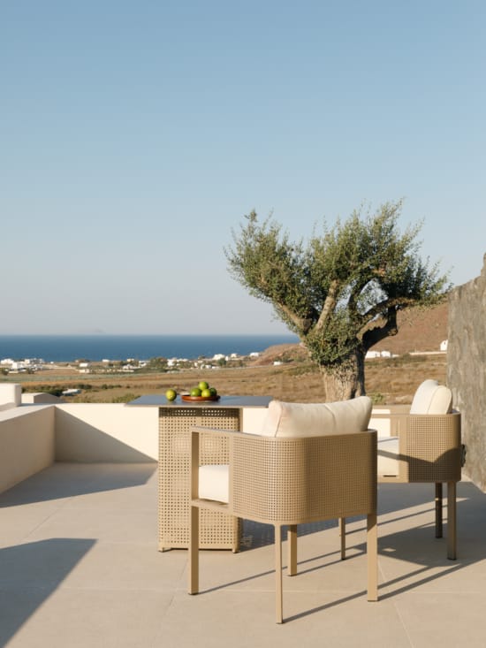 a chair and a tree on a rooftop