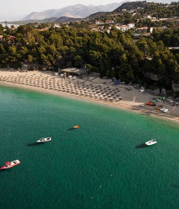 2E950A5F175A4B6EA798CEF0B76BAF6F