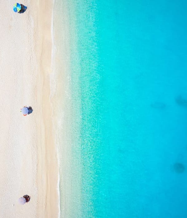 shutterstock_1780877183