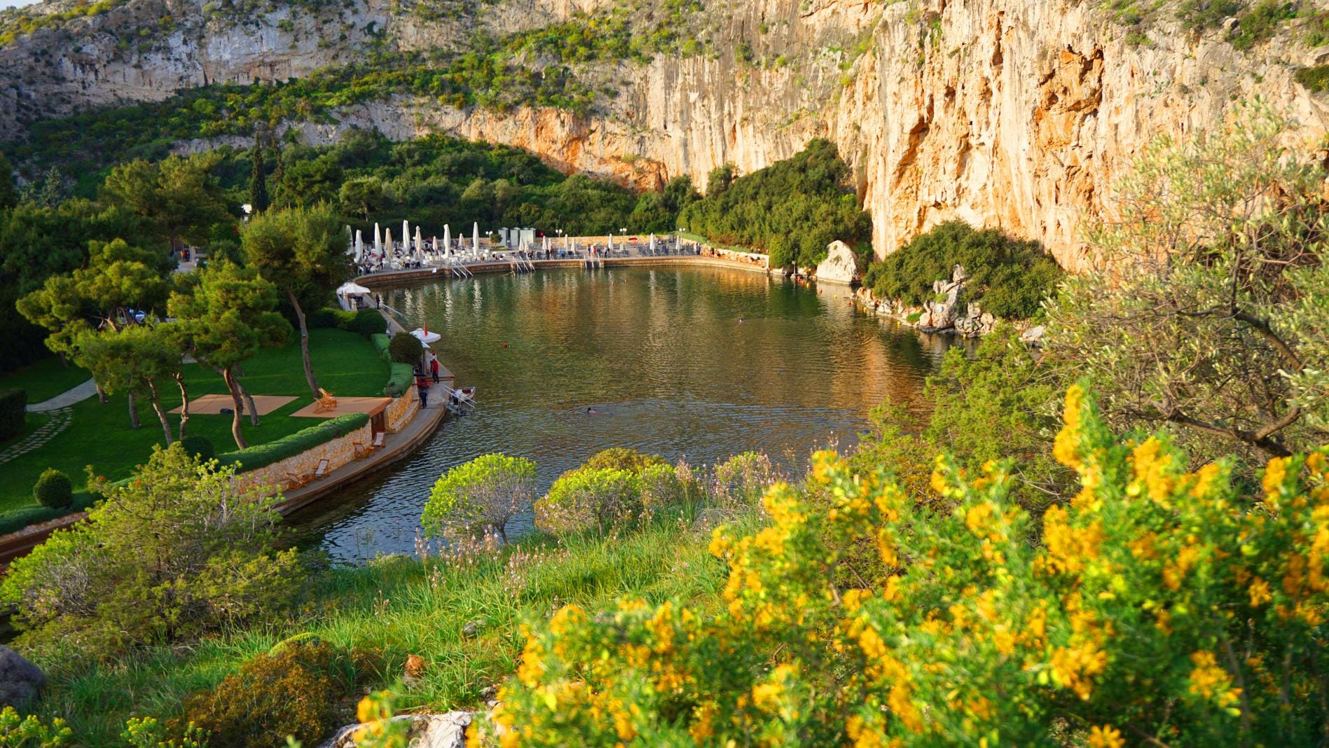 a river with a bridge and flowers