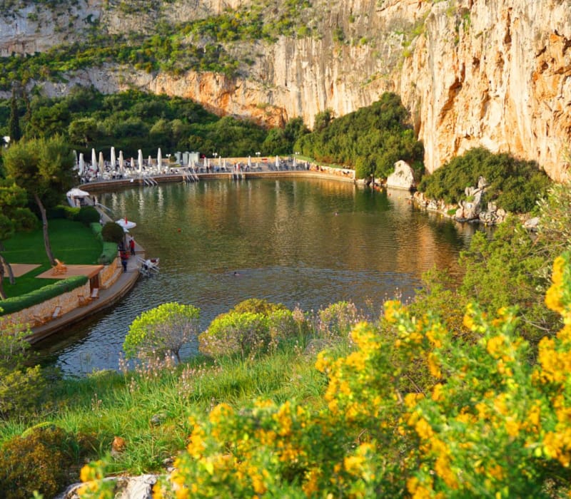 a river with a bridge and flowers
