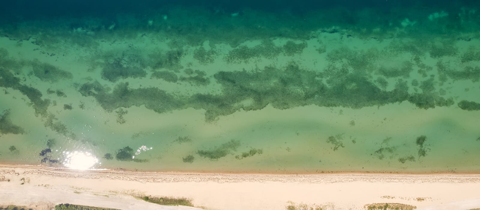 a landscape with trees and a fence