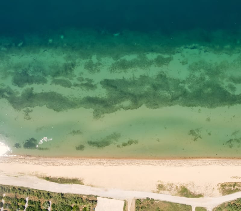 a landscape with trees and a fence