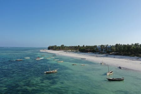 a beach with boats and trees