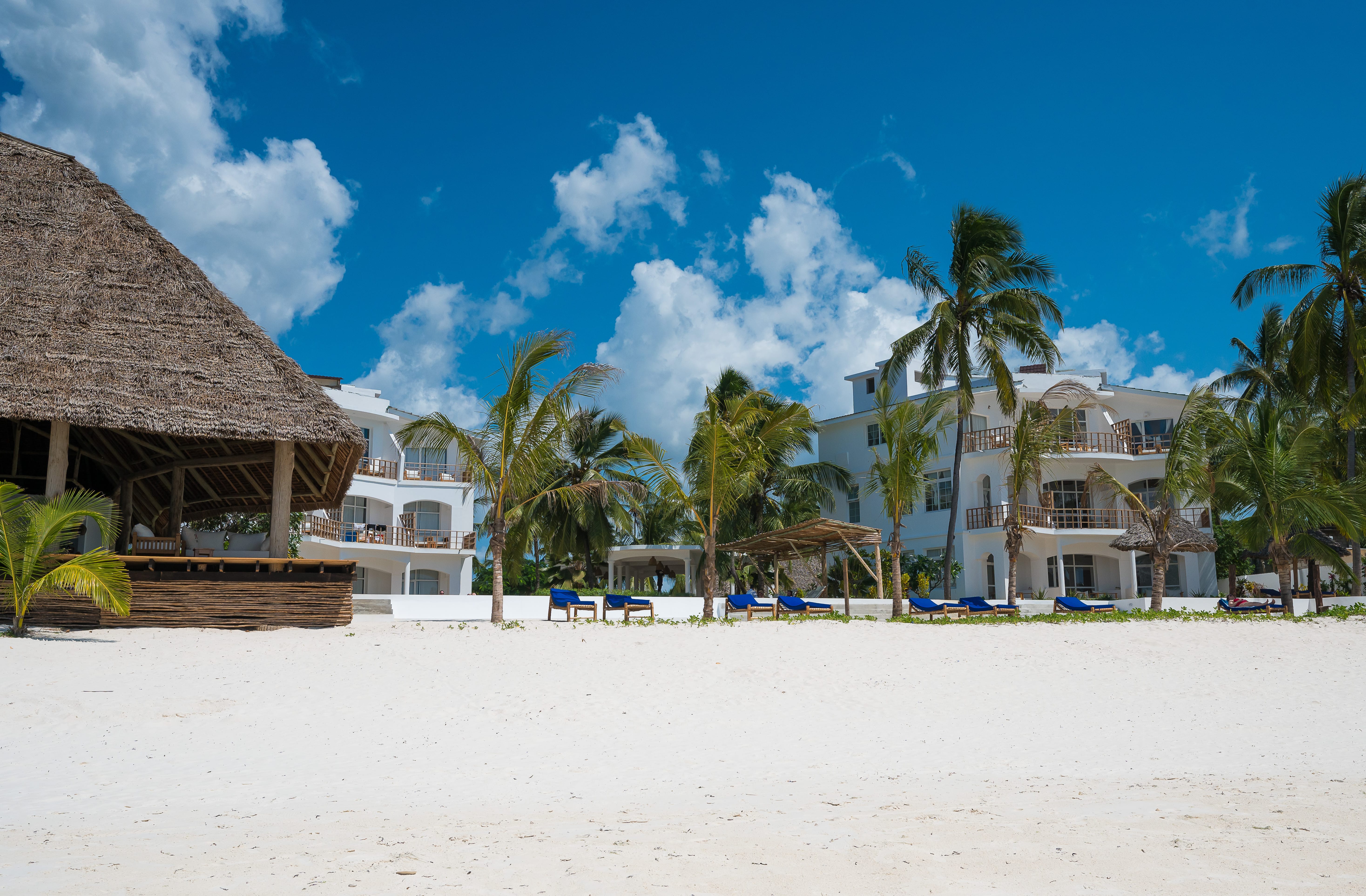 a beach with palm trees and buildings