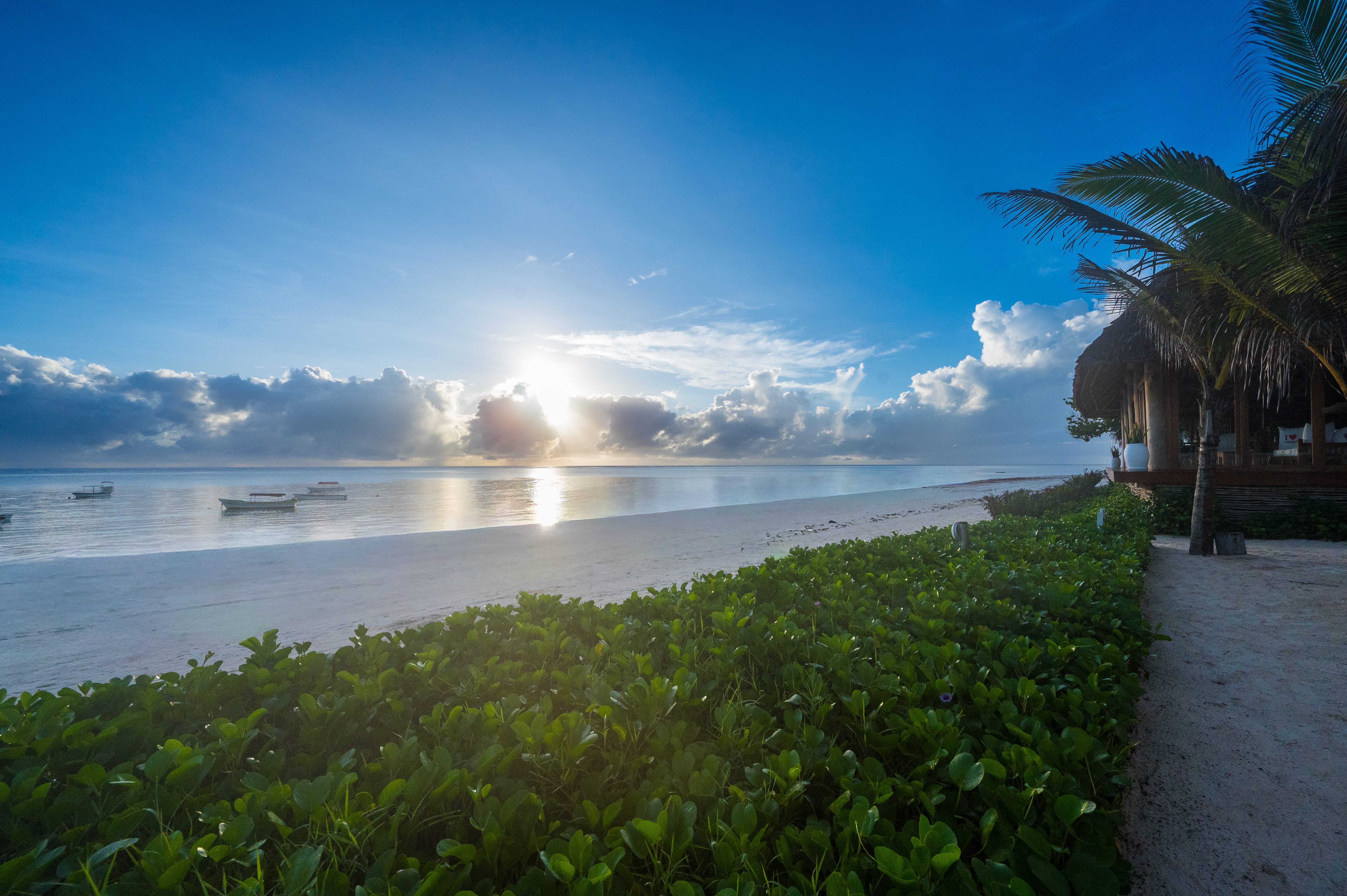 a beach with a body of water and trees