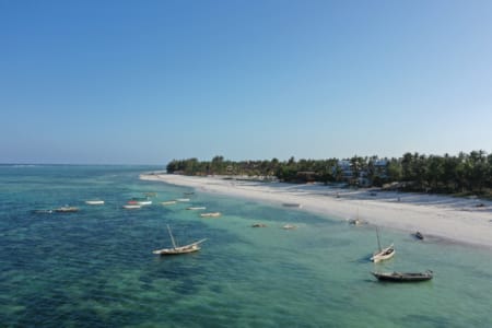 a beach with boats and trees