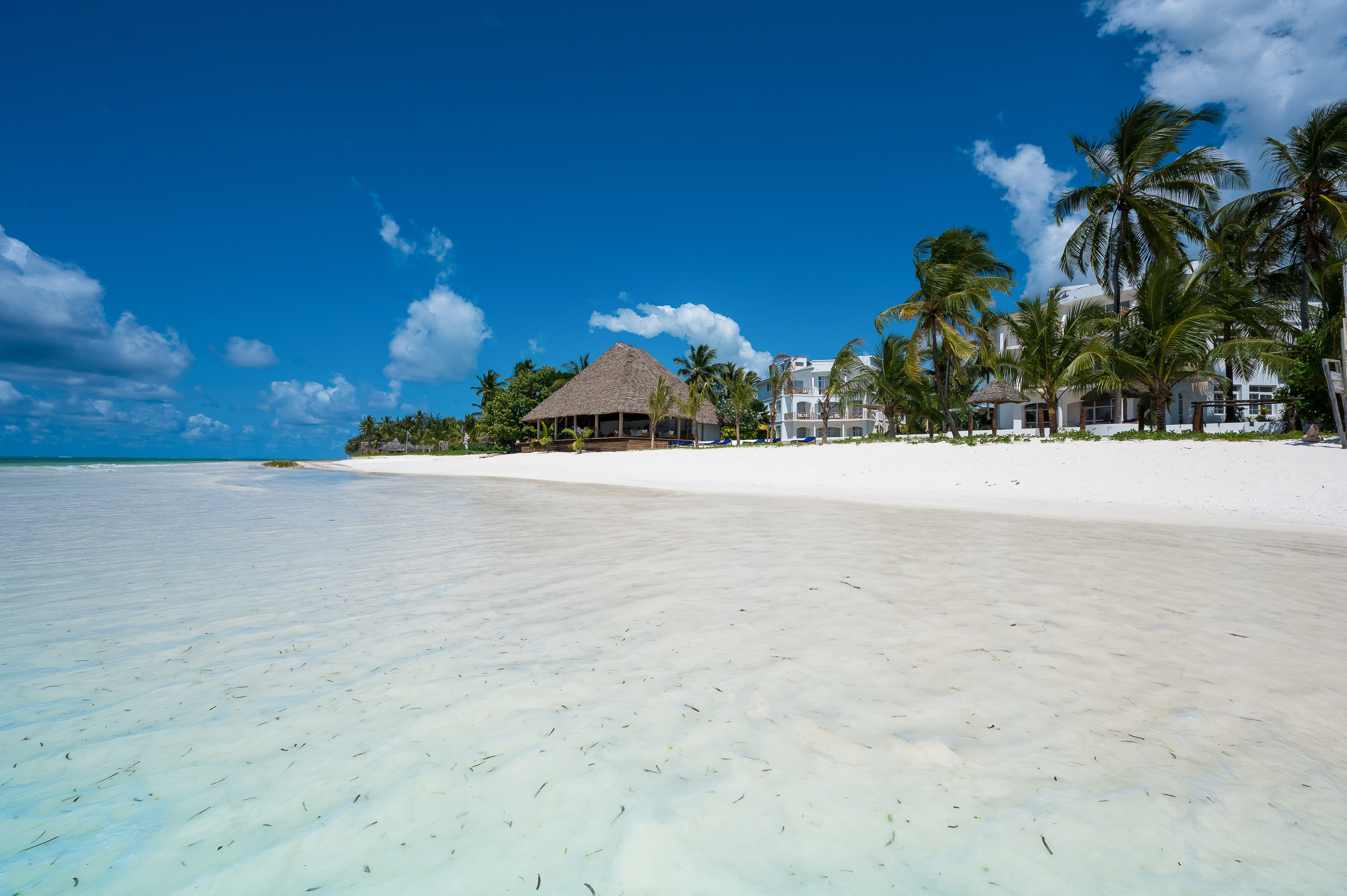 a beach with palm trees and a building in the background