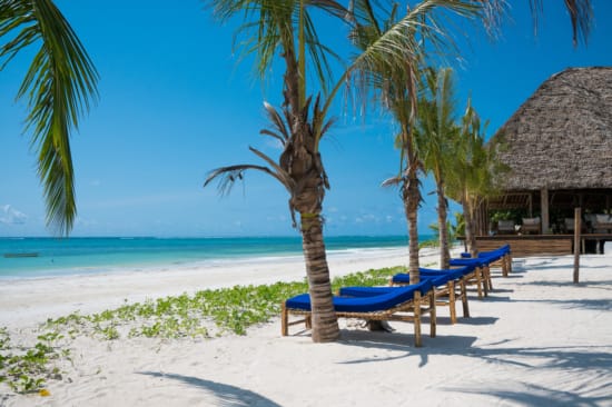 chairs and palm trees on a beach