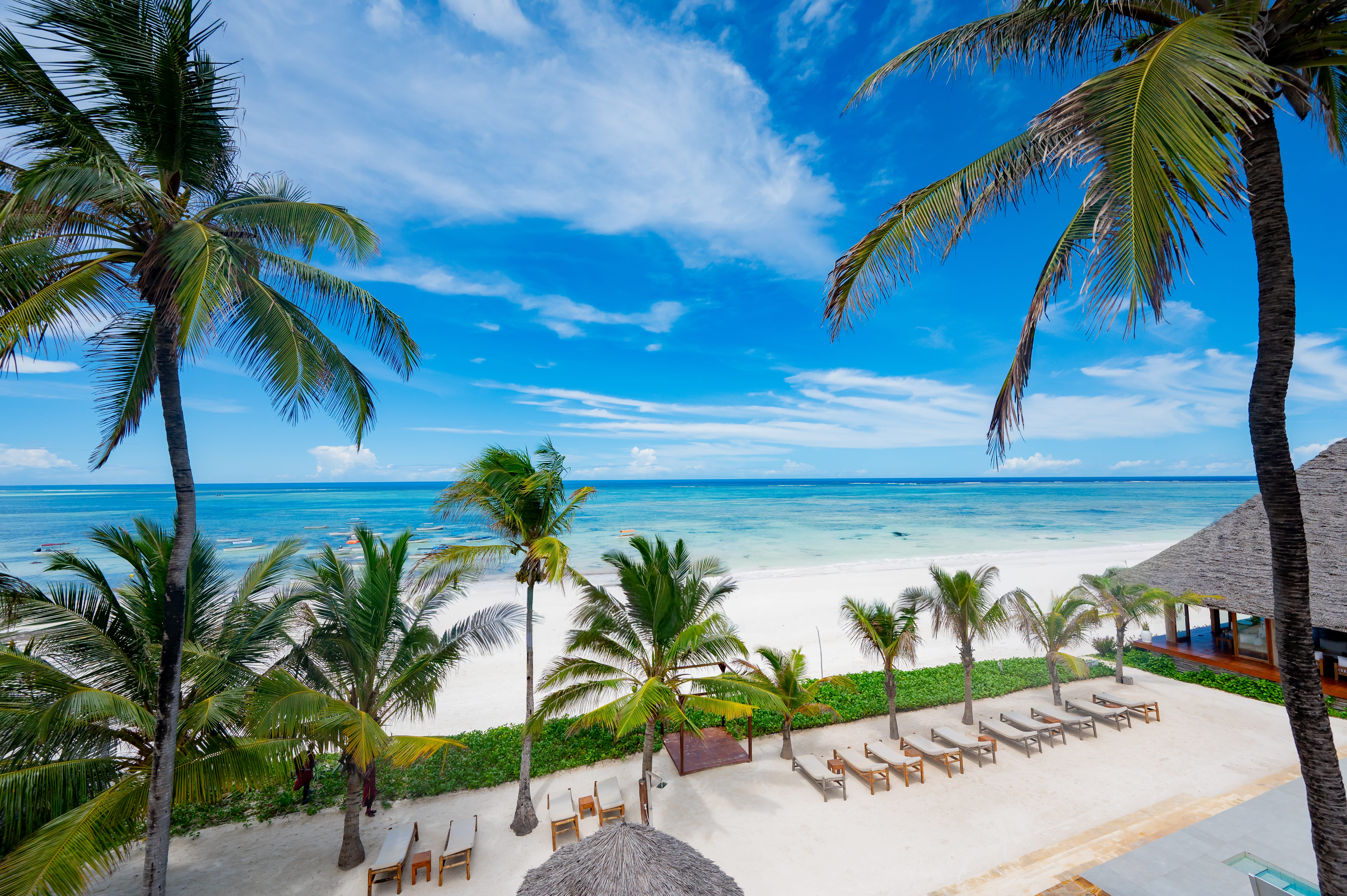a beach with palm trees and a body of water