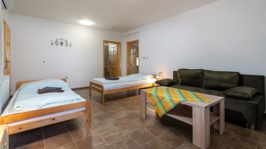 a room with couches and a table