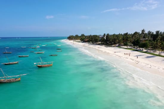 a beach with boats and trees