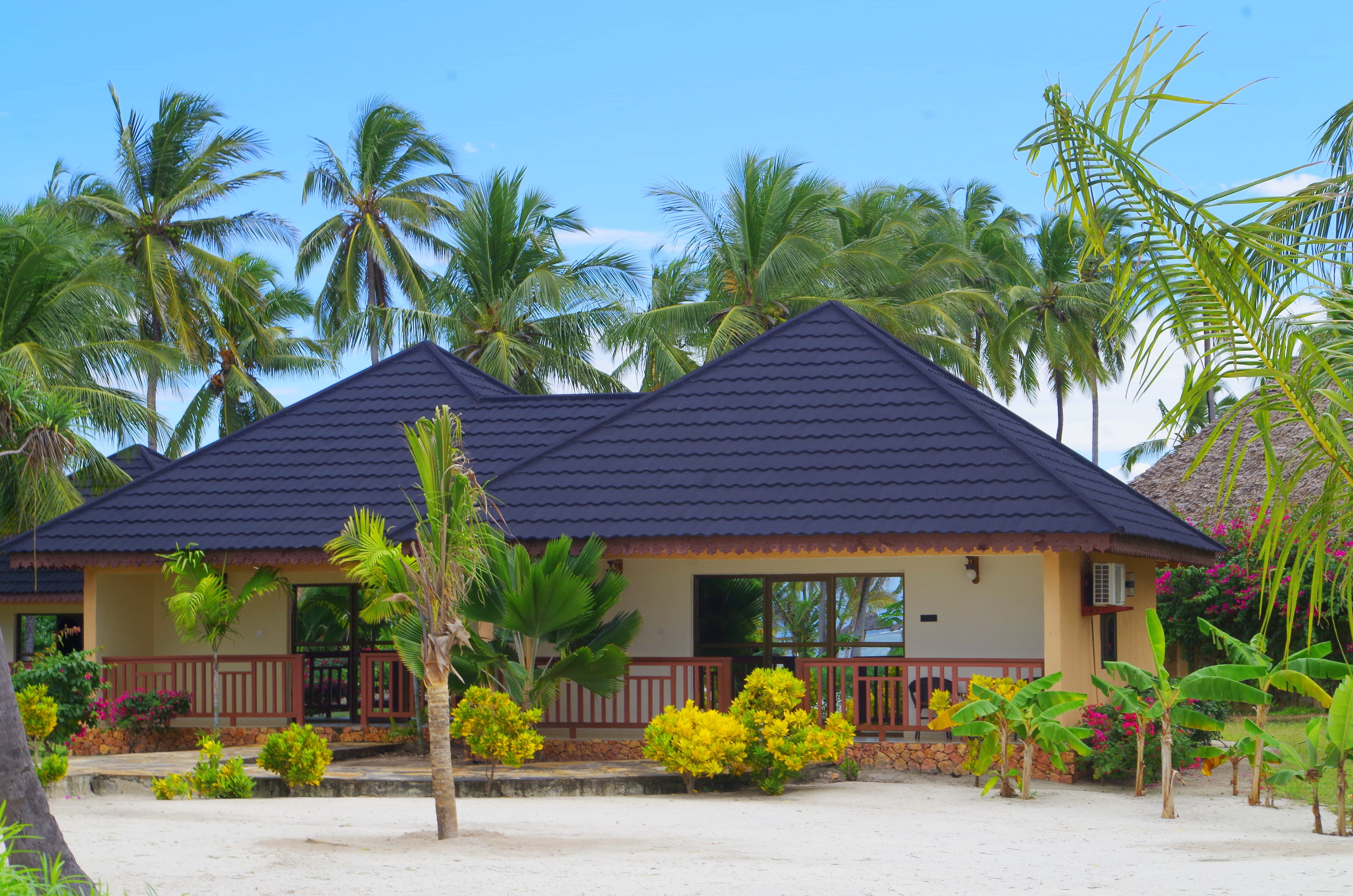a house with palm trees