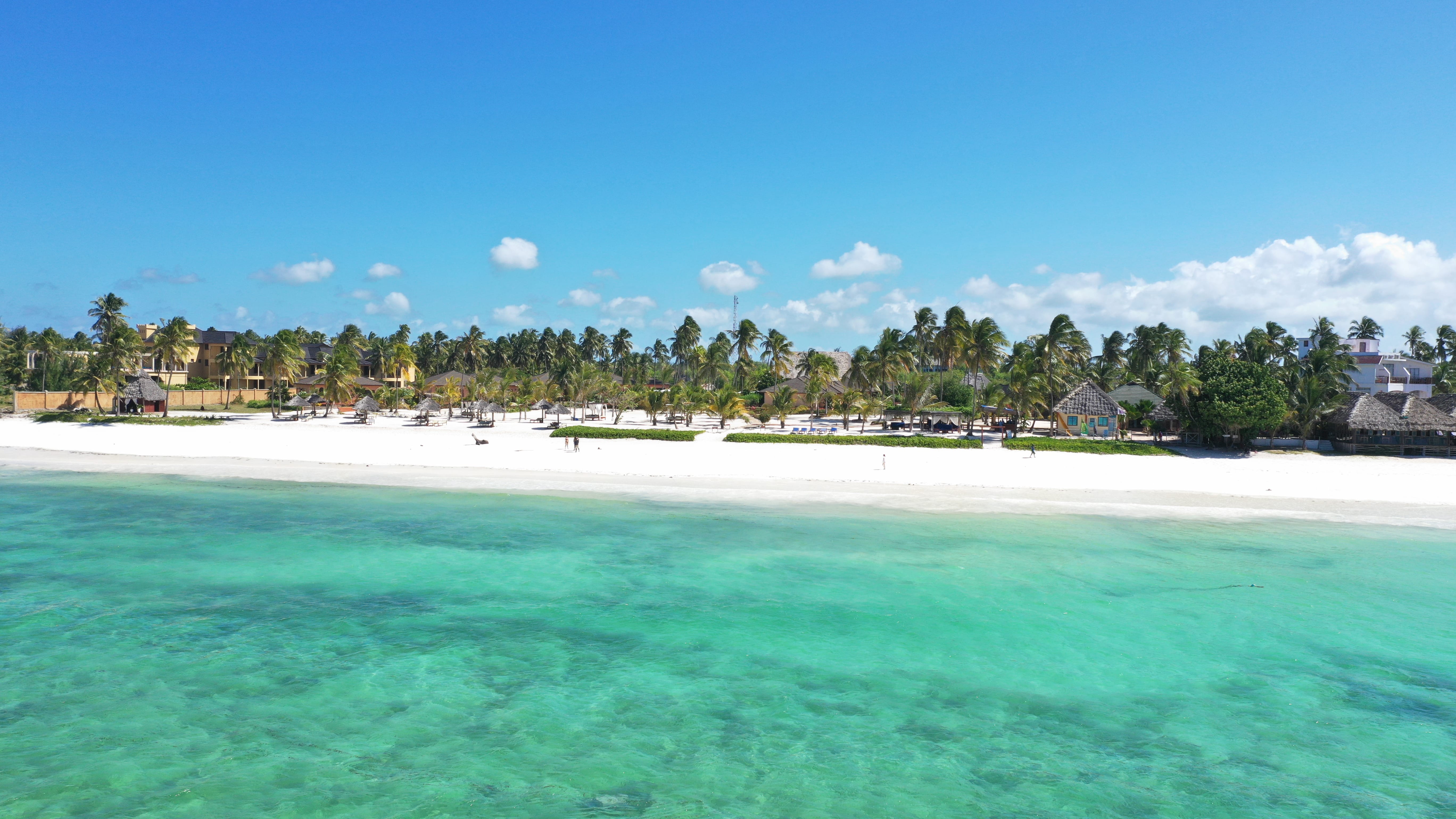 a beach with trees and a body of water
