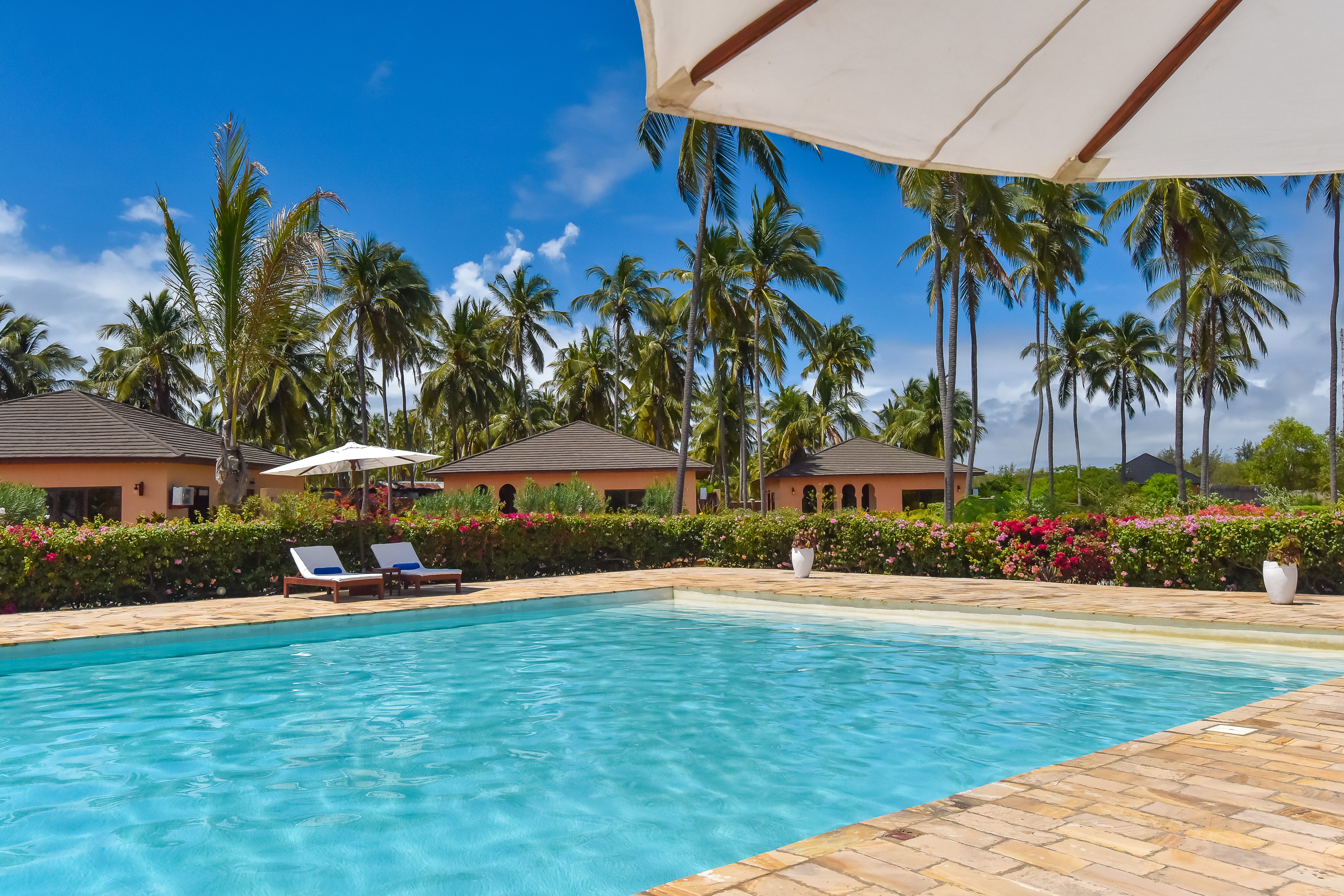 a pool with chairs and umbrellas by it
