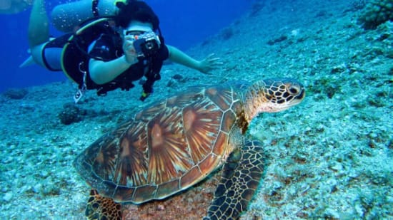 a person in scuba gear and a turtle swimming in the water