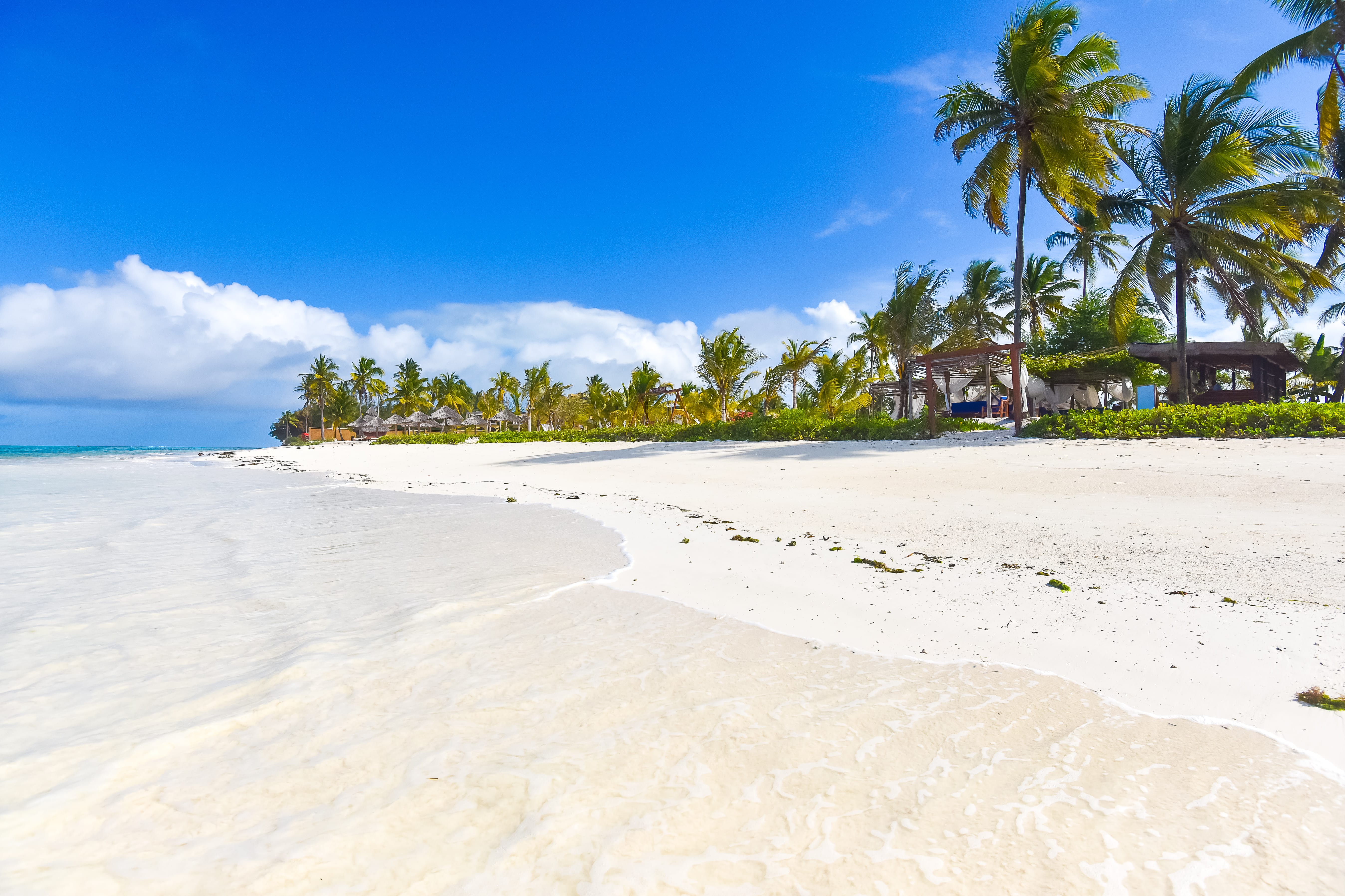a sandy beach with palm trees