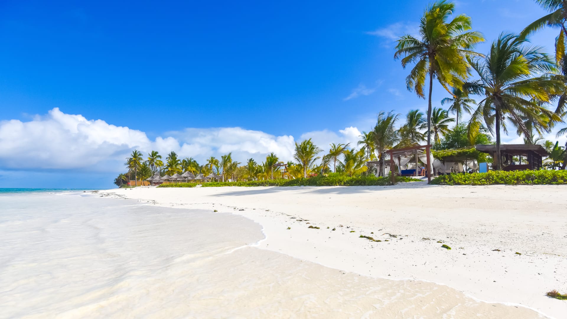 a sandy beach with palm trees