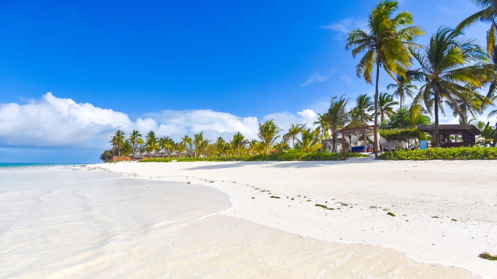 a sandy beach with palm trees