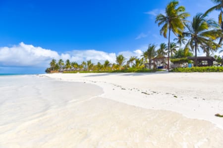 a sandy beach with palm trees