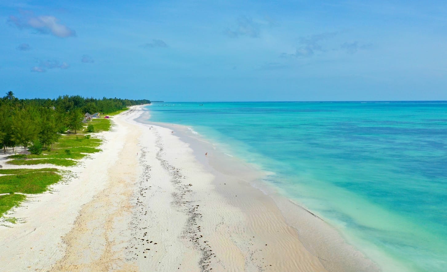 a sandy beach with trees and blue water