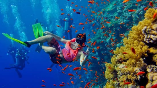 a person in scuba gear underwater