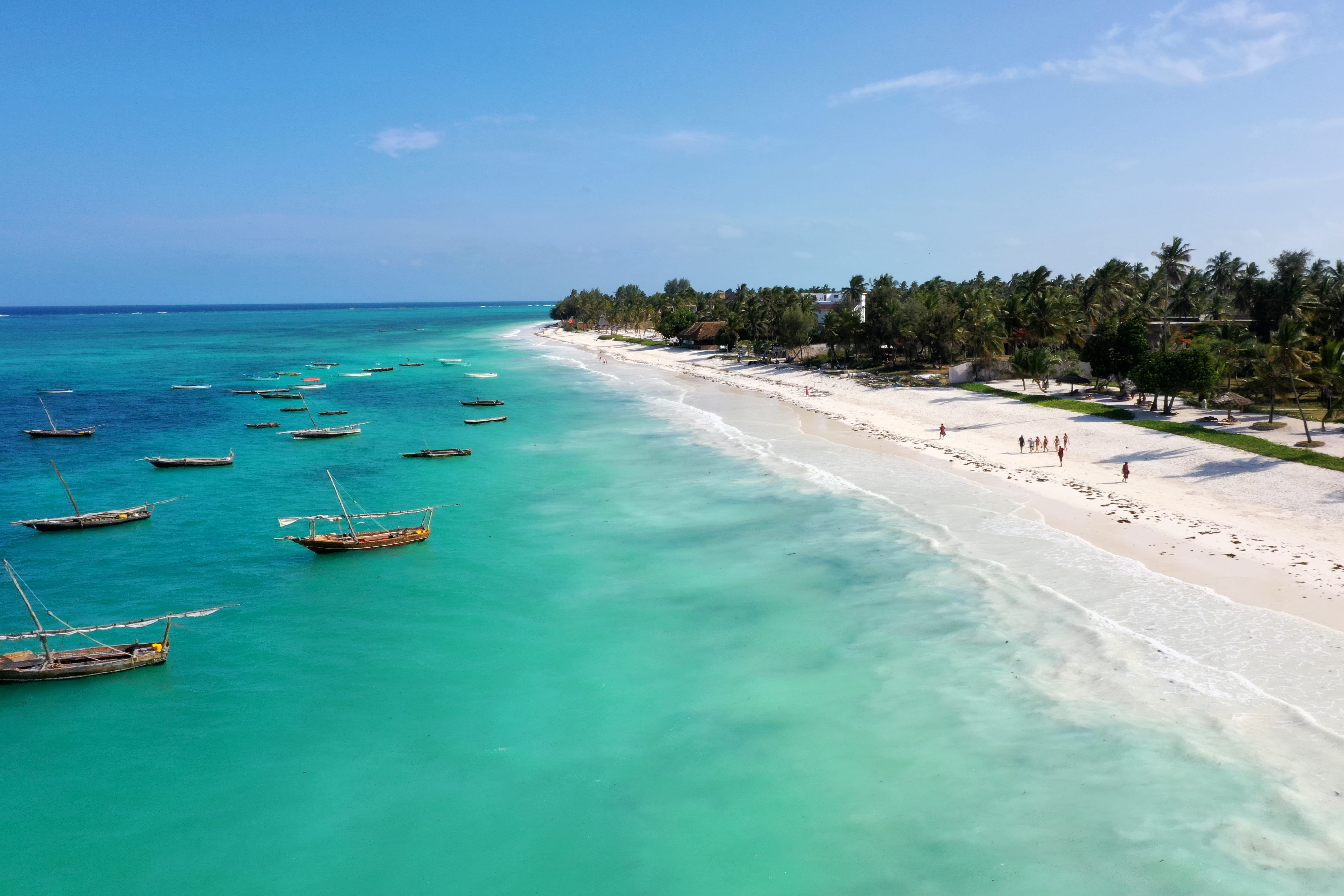 a beach with boats and trees