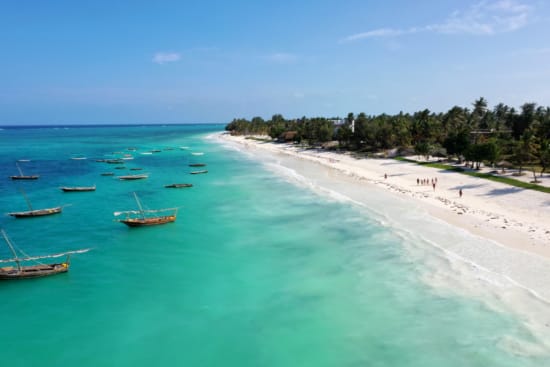a beach with boats and trees