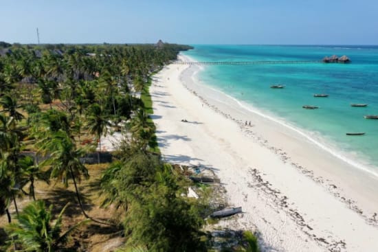 a beach with trees and a body of water