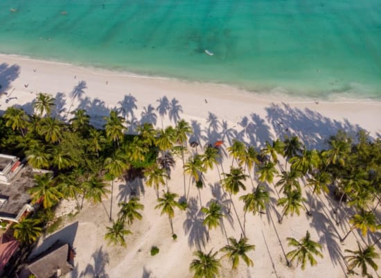 a beach with palm trees and a body of water