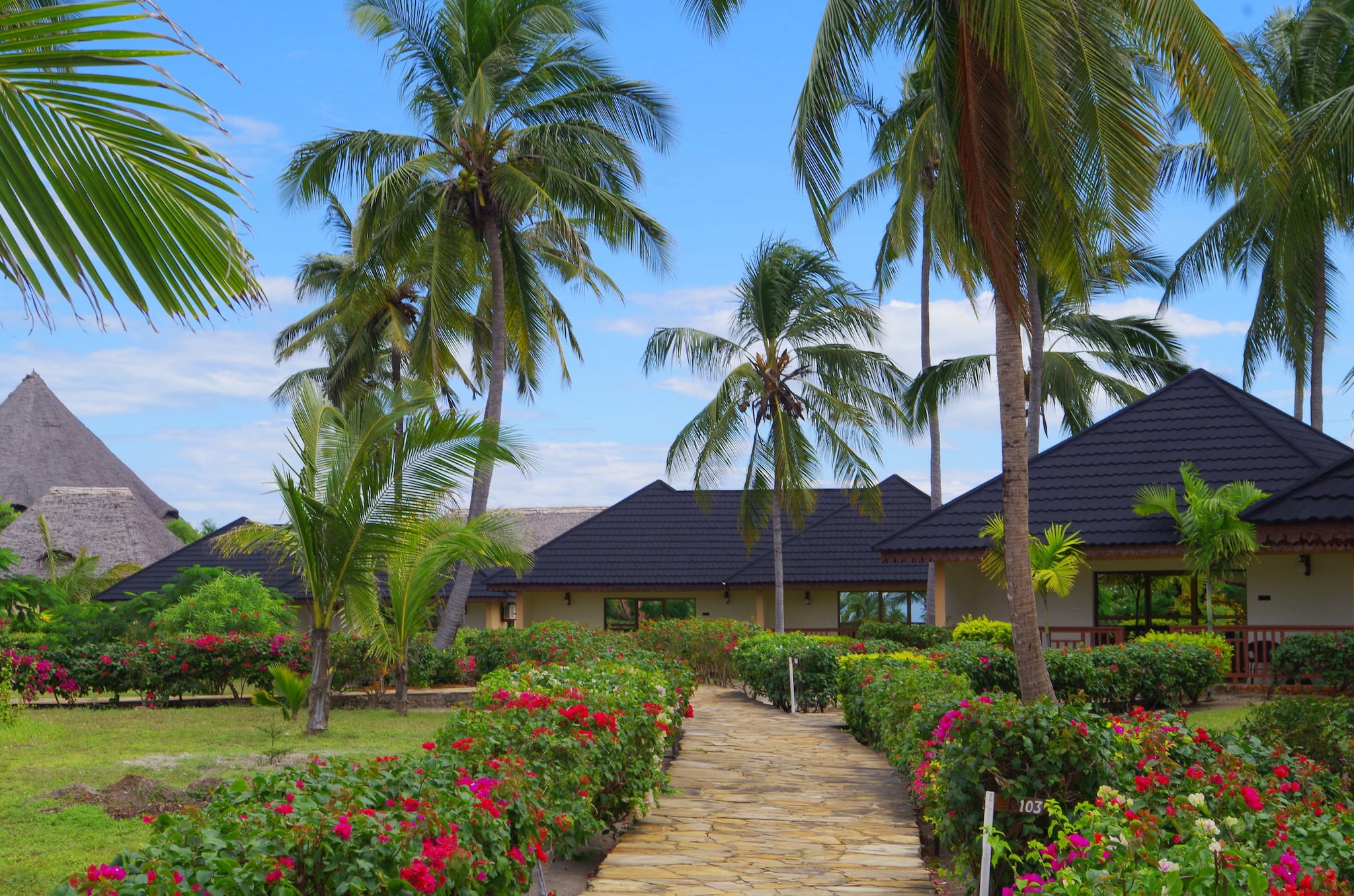 a beautiful garden in front of a house