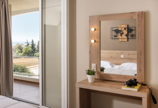 a desk with a mirror and a plant on it