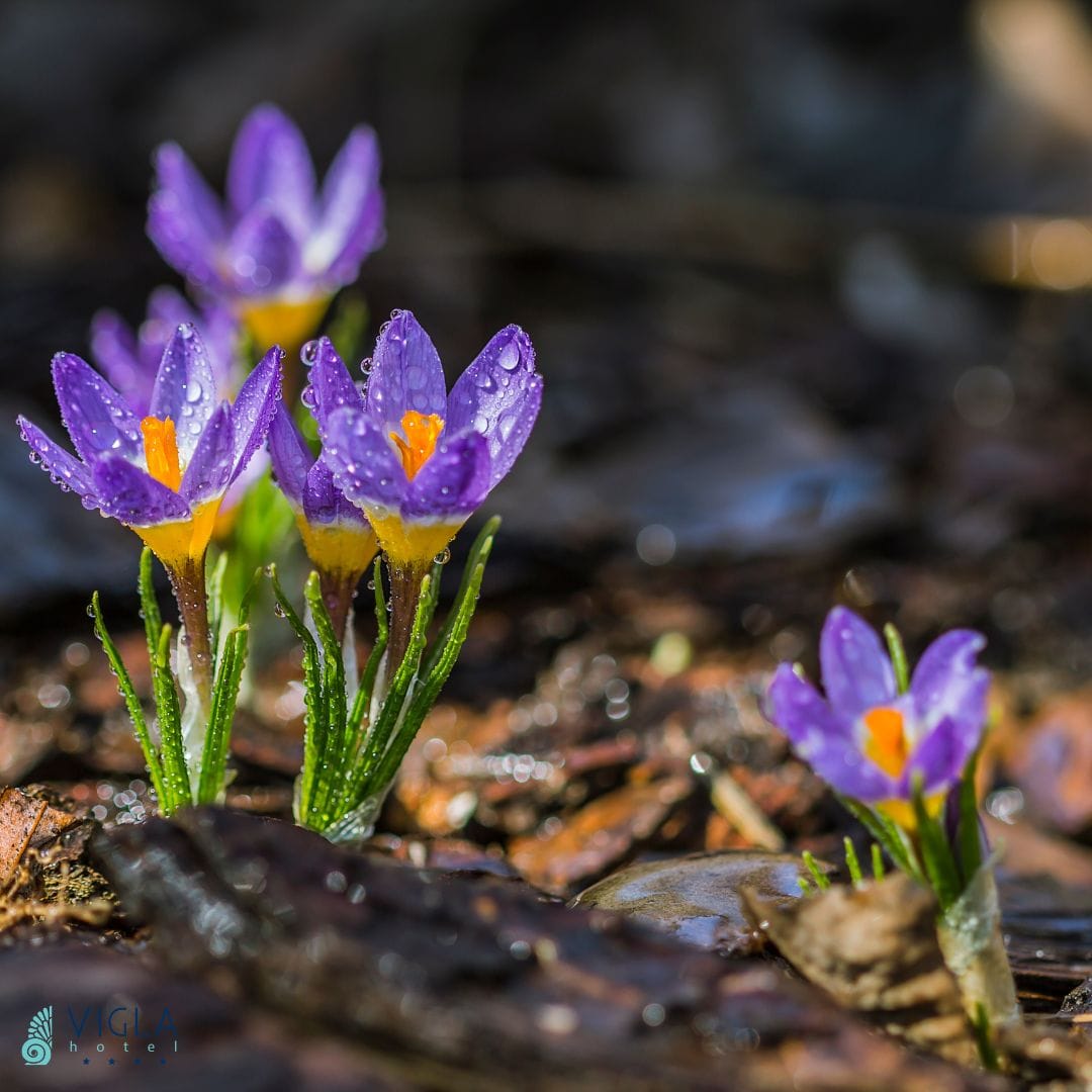 hello-may-instagram-post-3