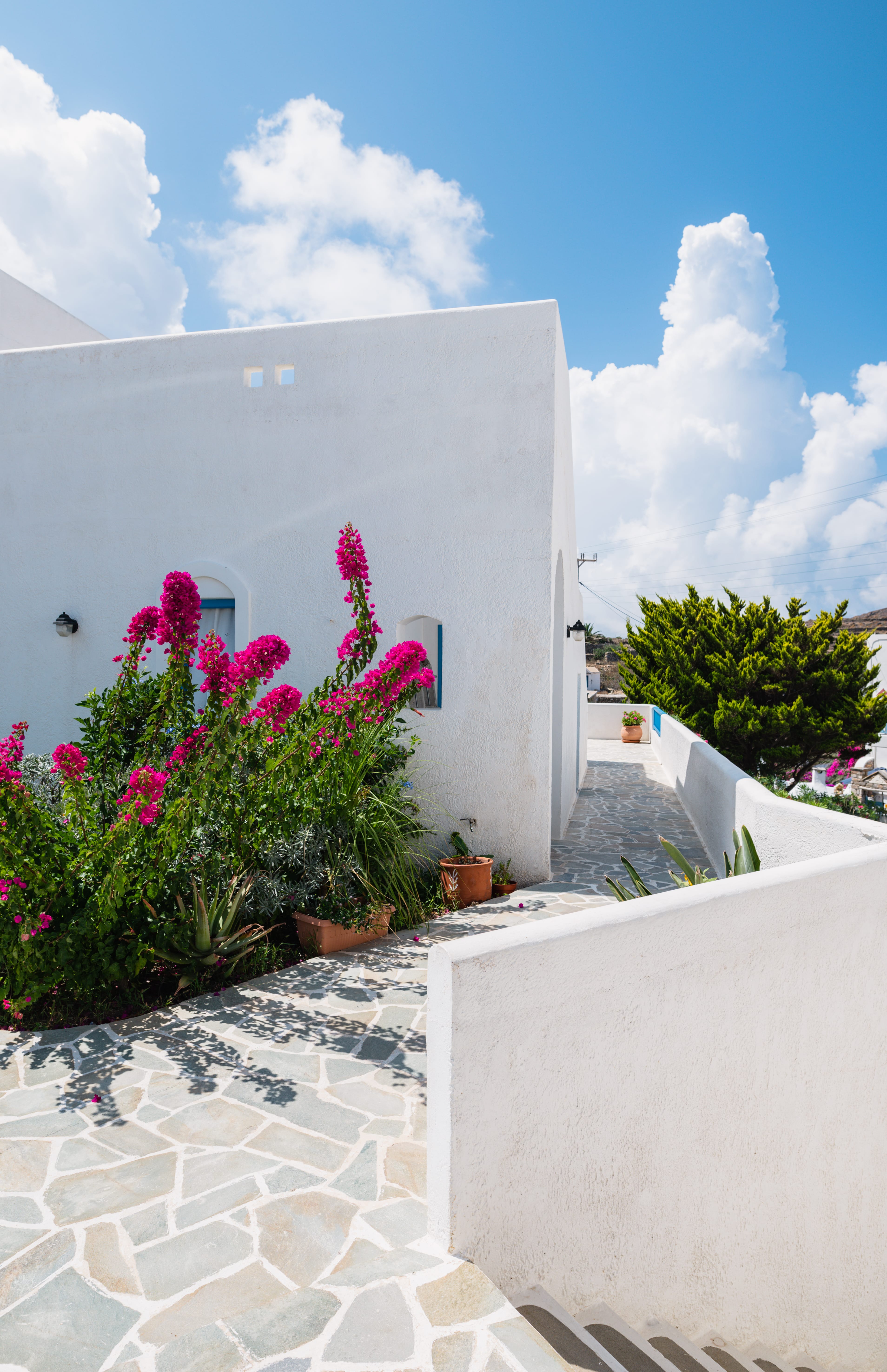 a white building with a large glass wall and flowers in front of it