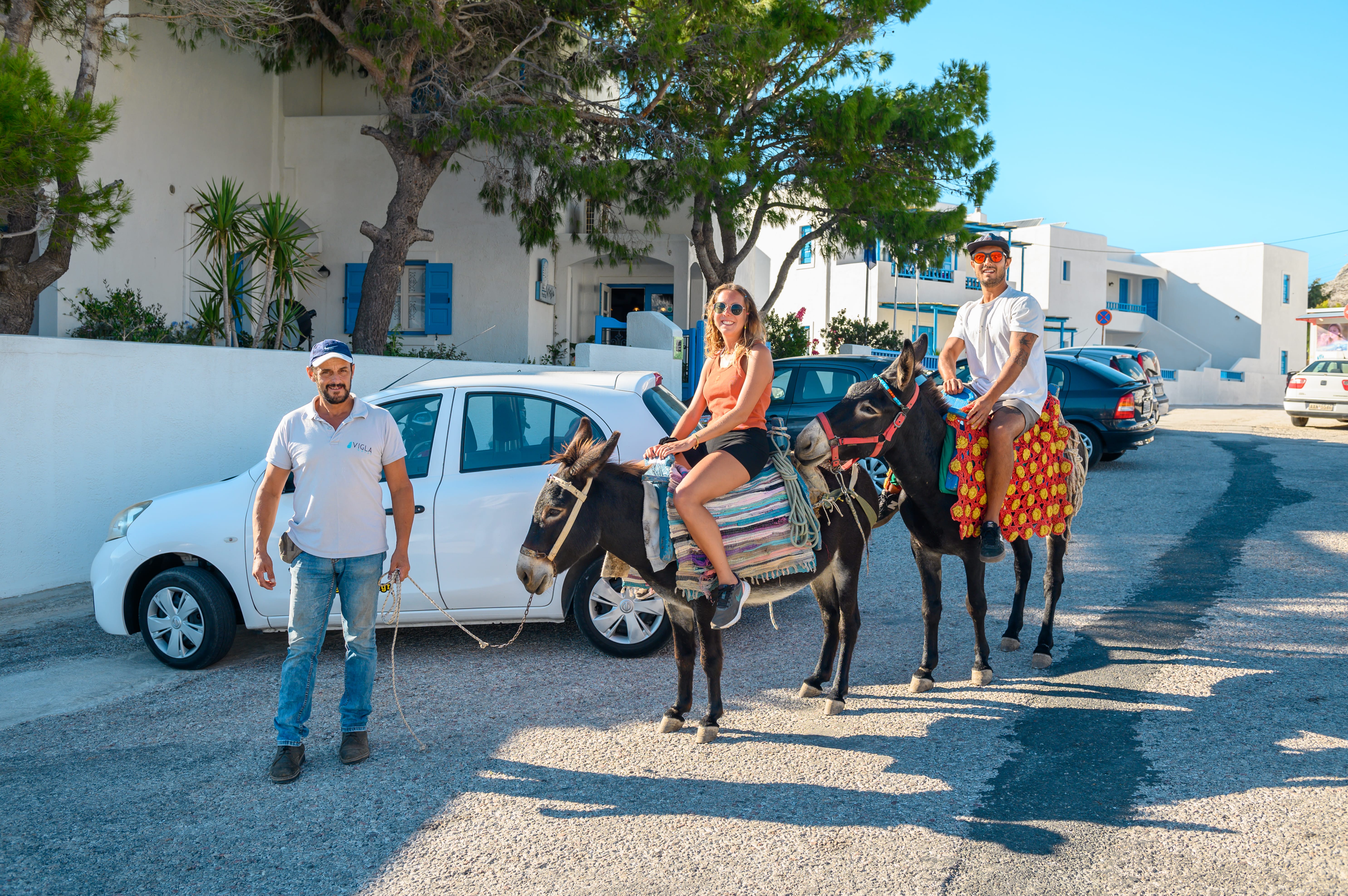 a group of people stand around a horse carriage