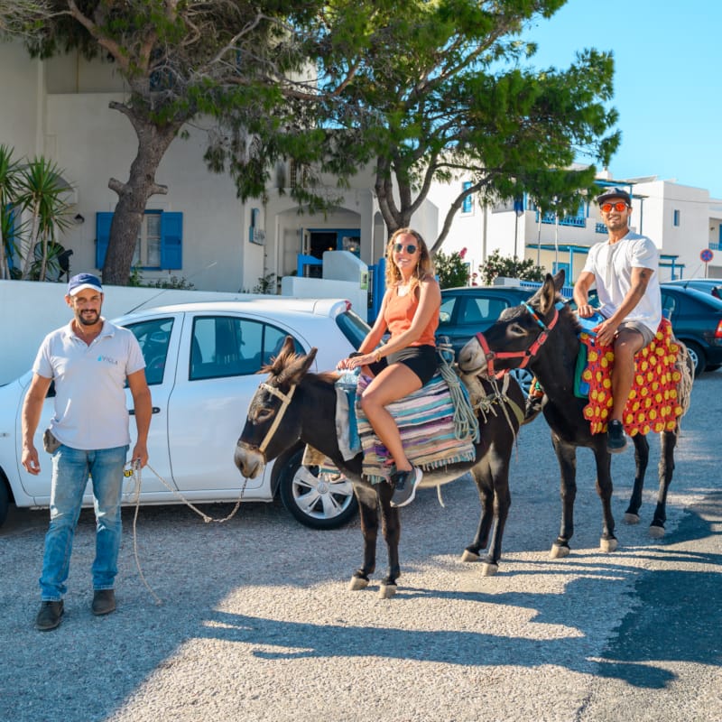 a group of people stand around a horse carriage