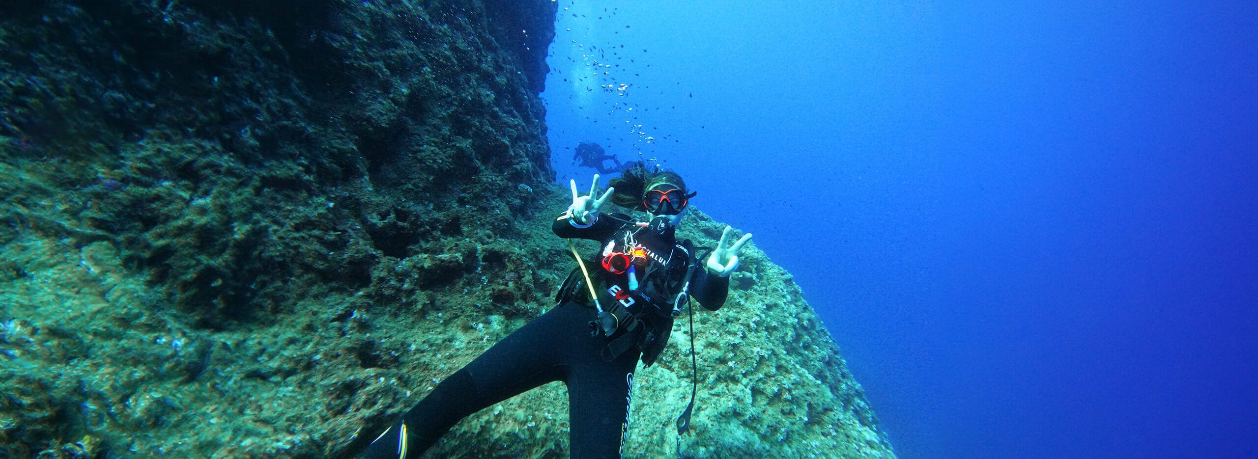 a person in scuba gear in the water