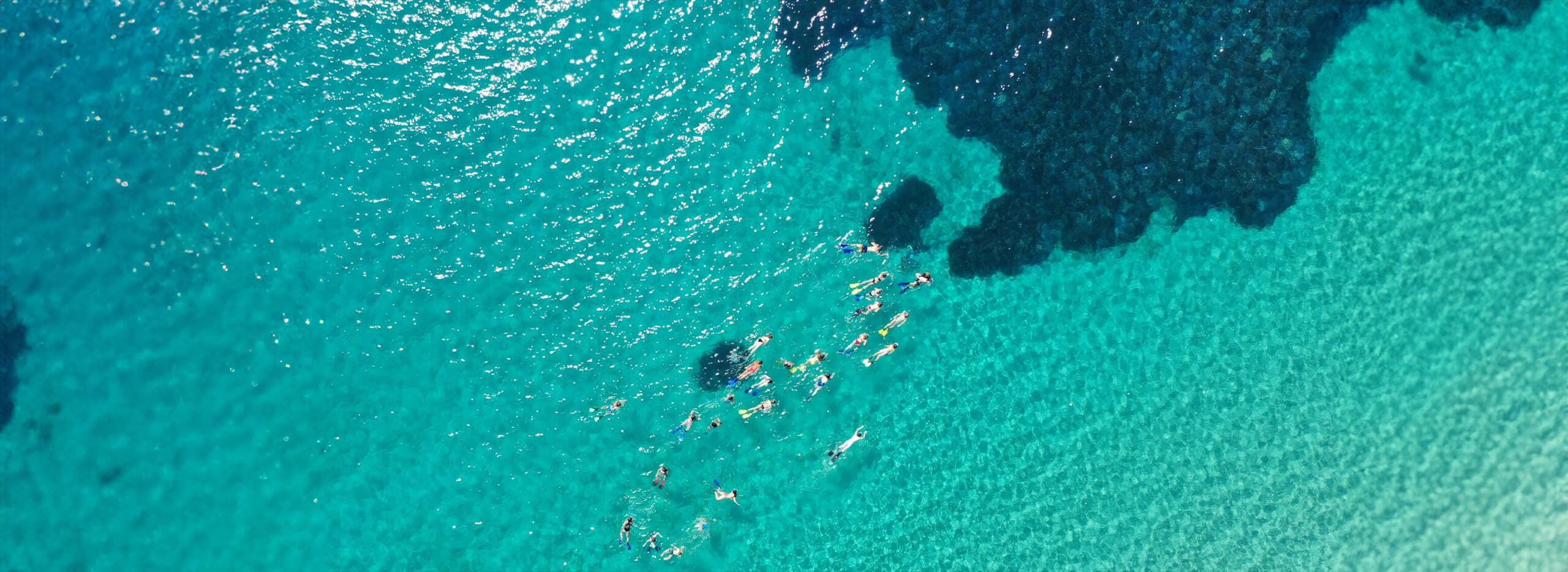 a group of people swimming in the water
