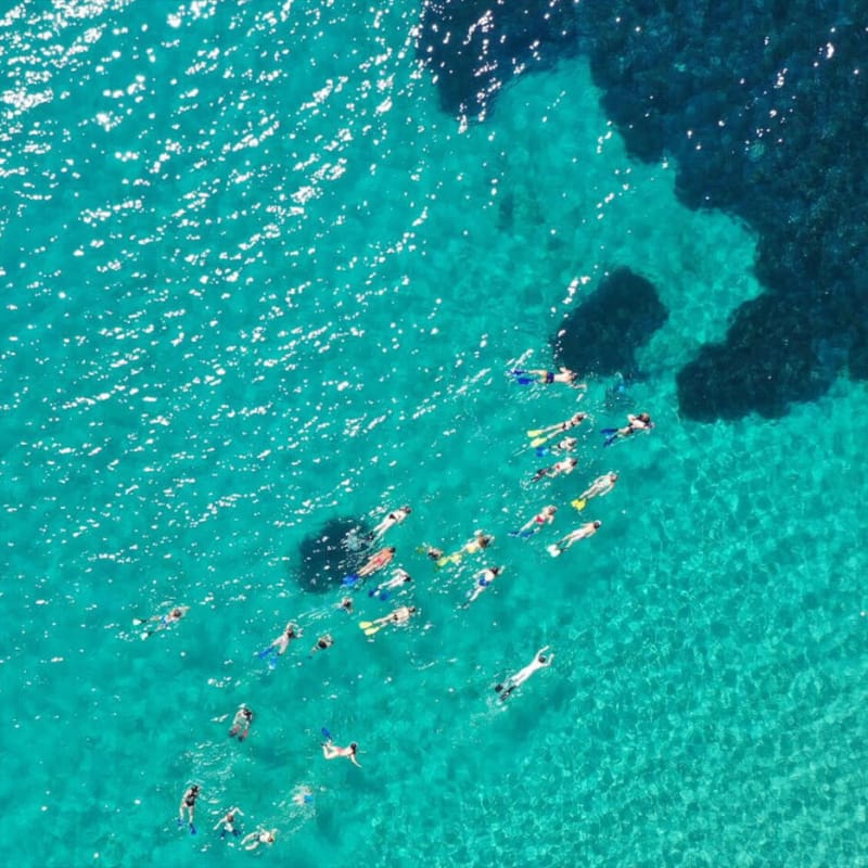 a group of people swimming in the water