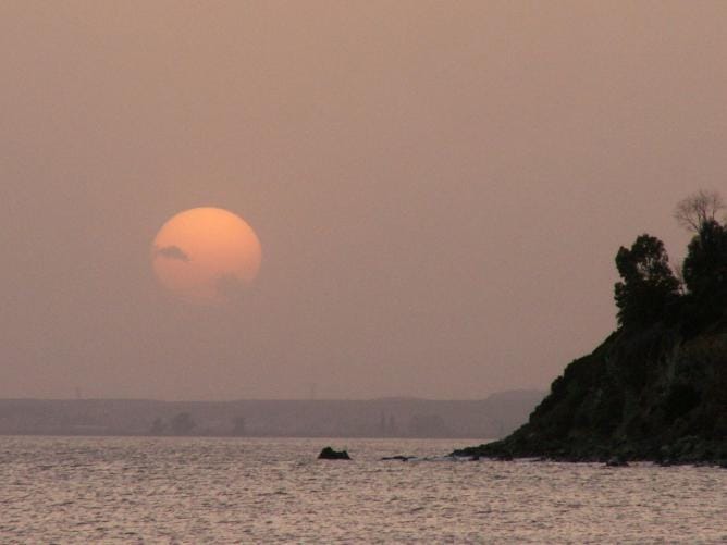 a body of water with a rock and trees in the background